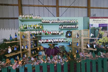 QTVR Wine Display & Cooking Demo