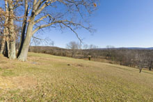 McGarvey Beagle View QTVR