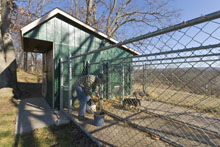 McGarvey Beagles QTVR