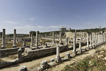 Perge