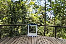 Rainforest Walk Stop 1