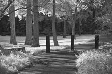 Infrared Photography